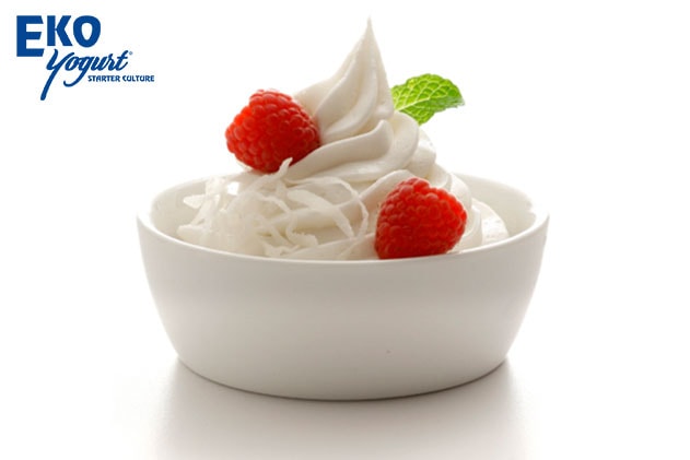 Probiotic Yogurt