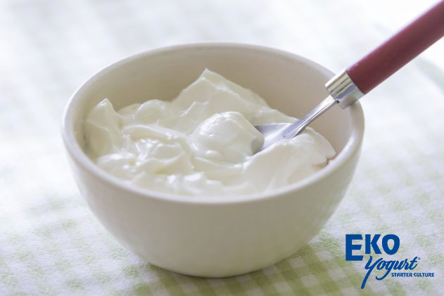 Probiotic Yogurt